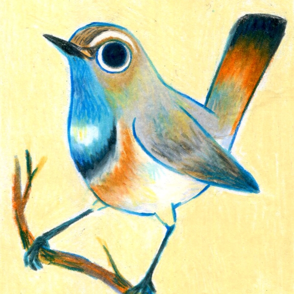 gorge_bleu004.jpg