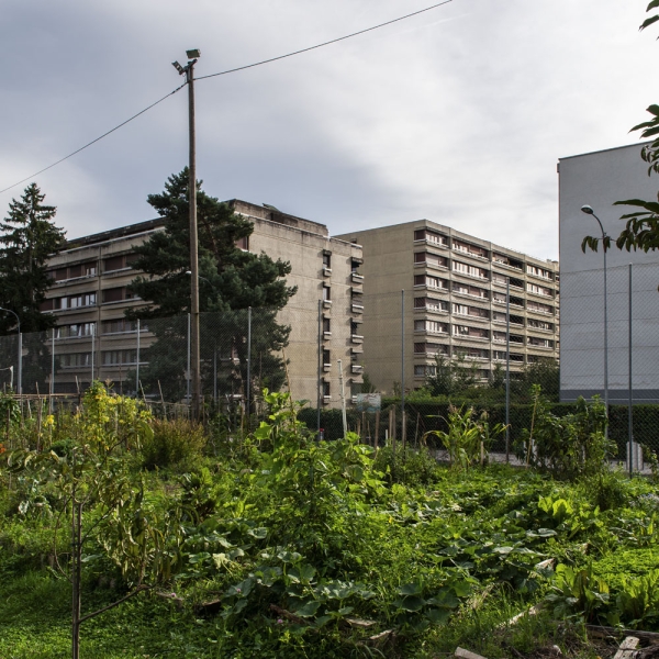 meyrin-2025-3.jpg