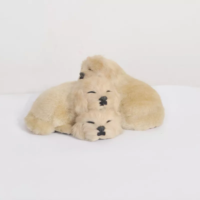 couverture_objet-trouve-peluche-c-yousef-el-demerdash-studio-magdy-dahab.jpg