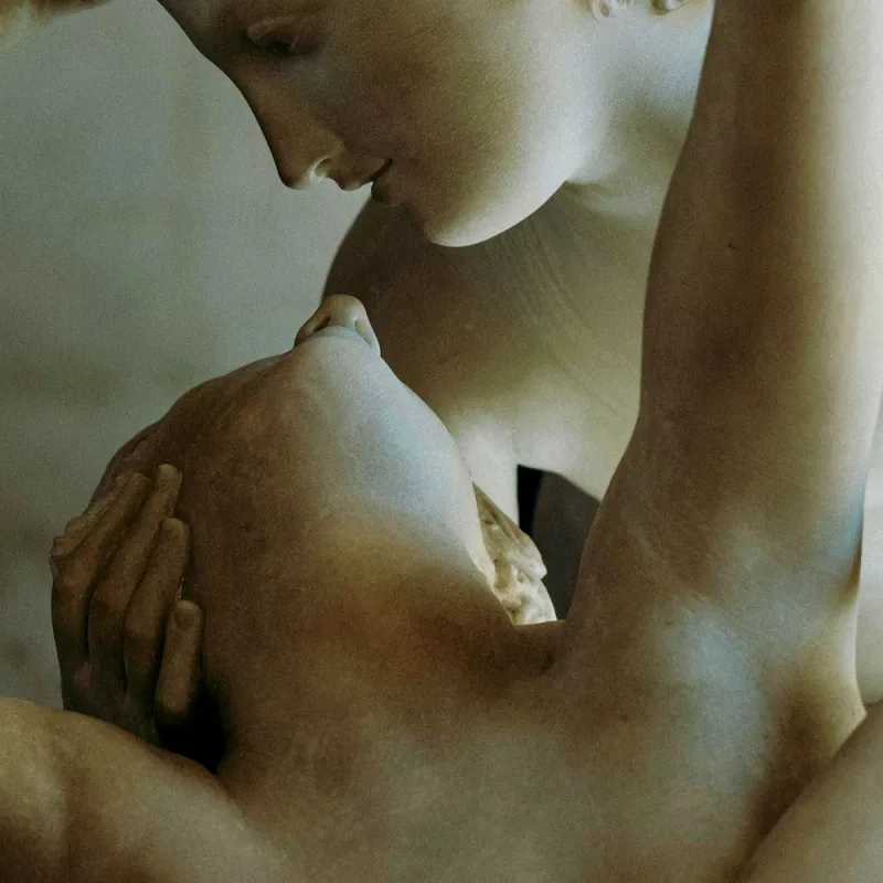 image_passions_square_1000x1000.png