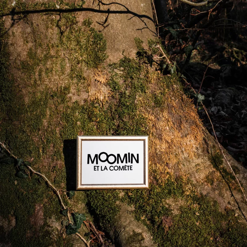 moomin-1_dr.jpg