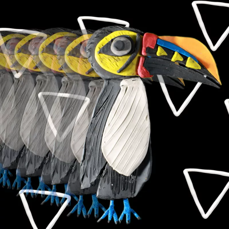 tucan.jpg
