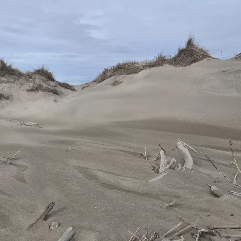 vue-de-dune-c-dr.jpg