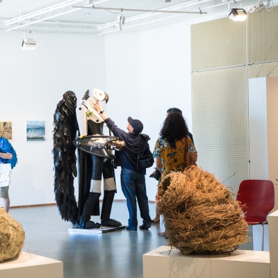nids-2-expo-artistes-amateurs-meyrin_2017-laurent-barlier.jpg