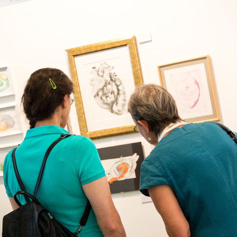 nids-1-expo-artistes-amateurs-meyrin_2017-laurent-barlier.jpg